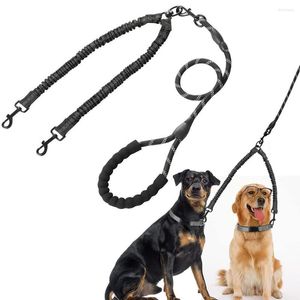 Colliers pour chiens Double laisse Double 360 Swivel No Tangled Walking Training Two Dogs Absorbing Reflective Bungee