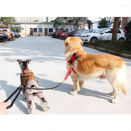 Halsbanden Duurzaam Verstelbare Veiligheid Dubbele Lijn Voor Twee Honden Controle Terughoudendheid Twin Lead 2 Way Pet Walking Trekkabel