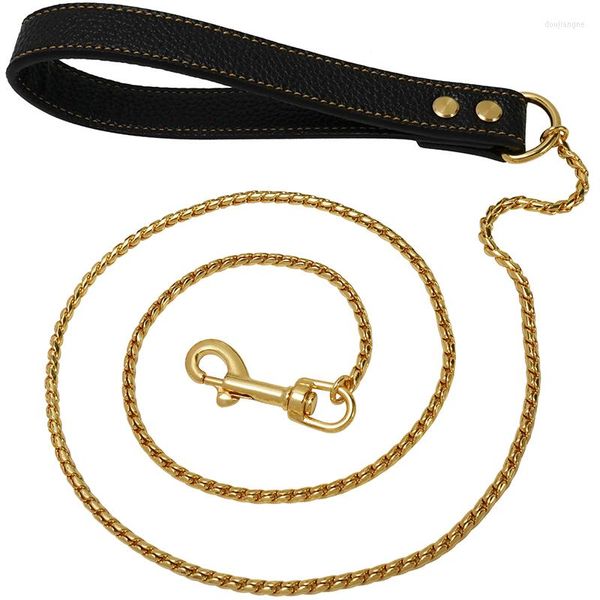 Colliers de chien Durable Chain de chaîne métallique anti-bite pour petits accessoires pour animaux de compagnie en cuir Pu en cuir PU à petite grande grandeur