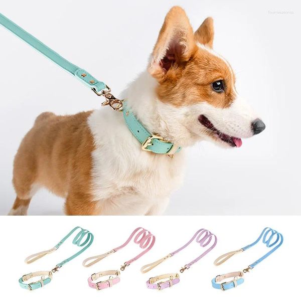 Colliers pour chiens Collier et laisse durables en cuir pour animaux de compagnie, corde de plomb personnalisée, boucle en métal réglable pour petits et moyens chiens, accessoires