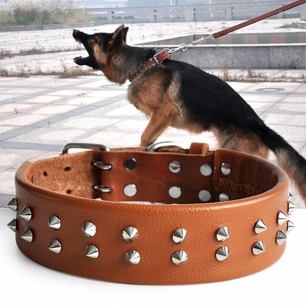 Colliers de chien durable grand col en cuir en cuir rottweiler doberman marinois chiens accessoires perro fournit