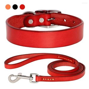 Colliers pour chiens Durable Petite Grande Laisse Collier En Cuir XS-XL Pour Moyenne Véritable Chiens Réglable Pet Chiot Chat Ensemble Collier