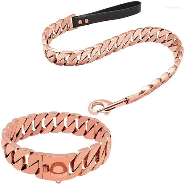 Colliers de chien collier solide durable avec laisse de chien en métal ensemble chaîne à maillons cubains en acier inoxydable pour la marche de taille moyenne Traning301F