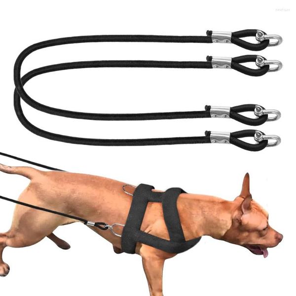 Colliers pour chiens, laisse de traction de poids Durable de 120cm, laisse d'entraînement pour animaux de compagnie, corde pour chiens moyens et grands, produits Pitbull, 2 pièces