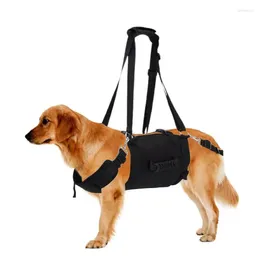 Colliers de chien Easy Walk Harness Walking Pull gilet avec contrôle de commande Pas de starter animal de compagnie pour petit moyen grand