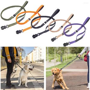 Hondenkragen elastische bungee riem voor middelgrote grote honden riet reflecterend absorberen zware dienst met auto -veiligheidsclip