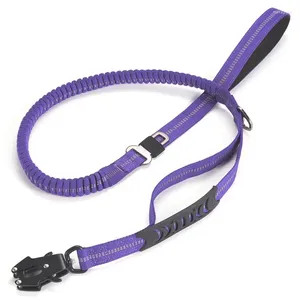 Hondenkragen elastische bungee riem voor middelgrote en grote honden absorptie twee handgrepen zware riemen met autoveiligheidsclip