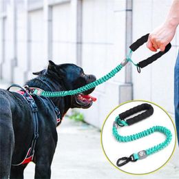 Collares para perros, correa reflectante elástica, cuerda de tracción retráctil para mascotas con mango cómodo para perros pequeños, medianos y grandes, accesorios para gatos