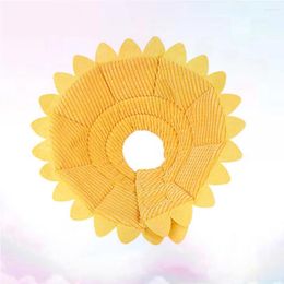 Colliers pour chiens collier élisabéthain collier pour animaux de compagnie petit chat tissu tournesol circulaire chats chiens