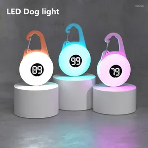 Halsbanden Energiebesparende LED-licht Lichtgevende huisdierhanger Kleine tot grote hondenhalsband Accessoires Benodigdheden Correa Perro Perros Accesorios