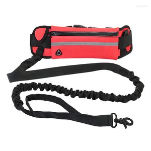 Colliers de chien Est réfléchissant laisse pour animaux de compagnie élastique main librement Jogging corde de Traction course taille Pack ceintures boucle rétractable D-ring