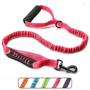 Hondenkragen Explosie-Proil Punch Leibele elastische riem Nylon Reflecterende lood Traction Touw Training Walking Hunting Duurzaam