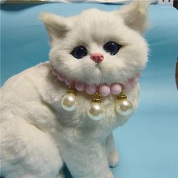 Colliers de chien mode réglable collier de perles pour animaux de compagnie accessoires pour chats animaux strass Sphynx chat collier chaton fournitures