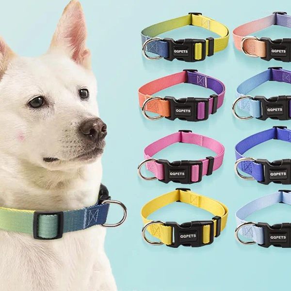 Collares para perros Moda Colorido Gato Mascota Collar de nailon Conjunto de correa Hebilla ajustable Cuerda Caminar Correr Shitzu Chihuahua Suministros Accesorios