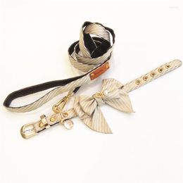 Colliers de chien de créateur de mode, ensemble de laisse exquis avec nœud papillon pour animaux de compagnie de petite et moyenne taille, cadeau de luxe, plomb de marche