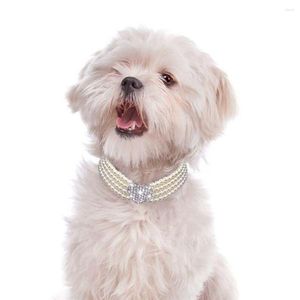 Colliers pour chiens mode pendentif en forme de coeur pour chat et chiot accessoires bijoux collier collier pour animaux de compagnie fournitures