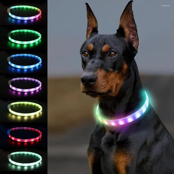 Colliers pour chiens clignotant LED collier lumière réglable USB Rechargeable Silicone lueur chiens sécurité nocturne