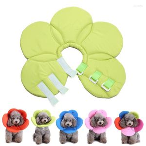 Colliers de chien formes de fleurs collier de récupération de cône doux pour animaux de compagnie pour chiens chats après blessure couverture de cou éviter les rayures collier électronique réglable