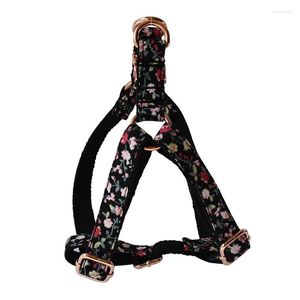 Colliers de chien Fleurs 05 Brottes de poitrine Black Bottom