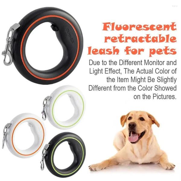 Colliers de chien Fluorescent Safet