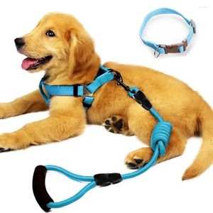 Collares para perros FML Conjunto de arnés de correa para mascotas Collar de nailon resistente para perros pequeños, medianos y grandes, correas para caminar y correr