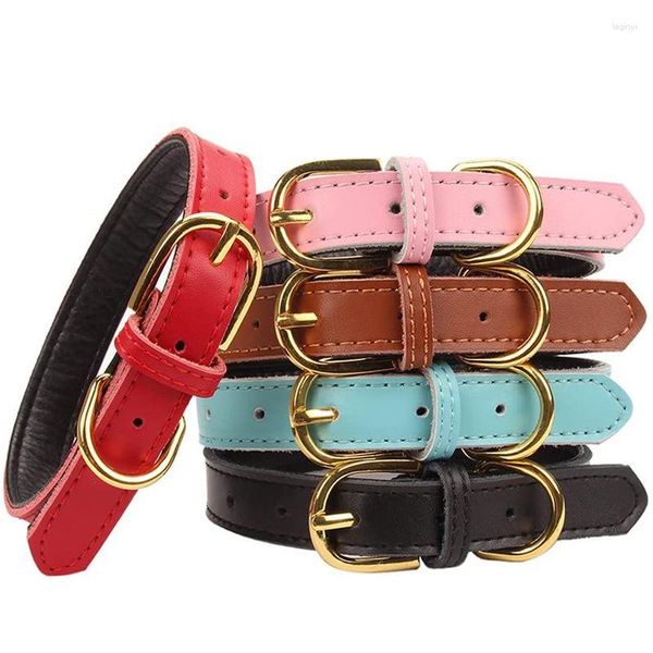 Collares para perros Collar de cuero genuino para mascotas Venta al por mayor Cadena pequeña y mediana Pelusa interior Cuello de correa cómodo