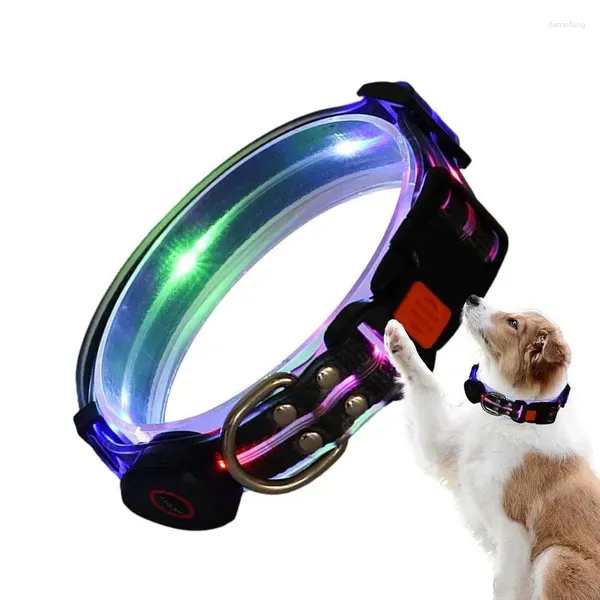 Collares para perros Collar brillante Luces ajustables iluminadas a prueba de clima para mascotas para caminar de noche al aire libre