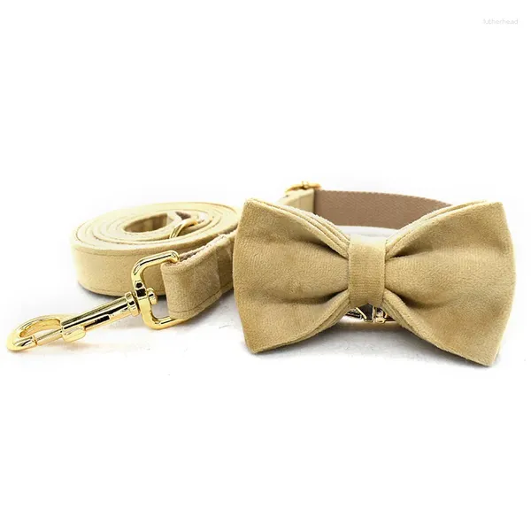 Colliers de chien Ligne à collier en or pour le collier moyen de l'animal avec une corde en velours kaki