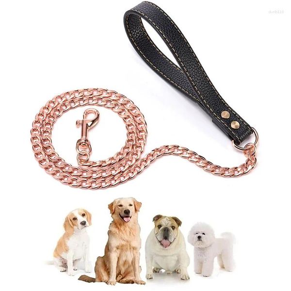 Collares de perros Cadena de oro 11.5 mm de ancho Corizada de acero inoxidable Pet Cuba Cube Metal Lead Cogida para perros