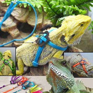 Collares para perros Buena Cuerda de tracción Lacertid Confinamiento Correas para mascotas Conjunto Cómodo Sin restricciones Arnés de lagarto irrompible