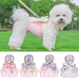 Colliers pour chiens dégradé chat harnais laisse ensemble réglable gilet pour animaux de compagnie dentelle nœud papillon vêtements pour petits chiens Chihuahua robe de princesse