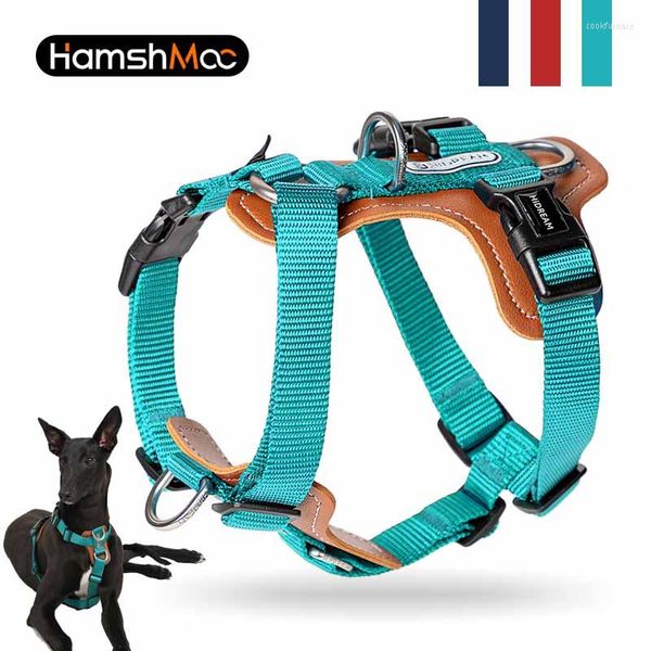 Colliers pour chiens HamshMoc Harnais sans traction Gilet en cuir réglable pour animaux de compagnie pour une marche facile avec 2 clips de laisse Petits chiens de taille moyenne