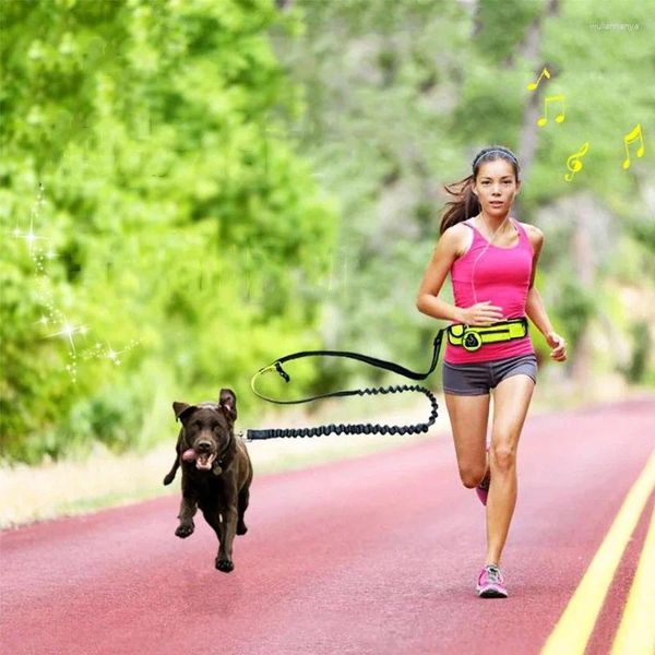 Collares para perros Correa Manos libres con riñonera cinturón ajustable correa para el pecho tracción cuerda reflectante mascota caminar correr trotar