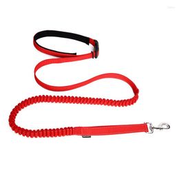 Halsbanden Hand Gratis Multifunctionele Intrekbare Nylon Leash Reflecterende Running Walking Training