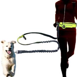 Hondenkragen Handvrije nylon taille riem met zaktas Verstelbare elastische Pet Sport Sport Belt Running Jogging Leens voor kleine honden