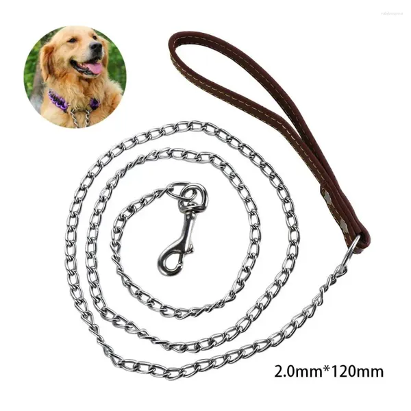 Collares para perros, collar con asa para correa de remolque pequeña, mediana y grande, cadena para caminar al aire libre, cuerda para mascotas, suministros de plomo