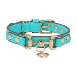 Colliers pour chiens faits à la main personnaliser collier laisse ensemble accessoires pour animaux de compagnie couleur élégante Aqua vert peau de vache véritable cuir de veau vache cuir goutte