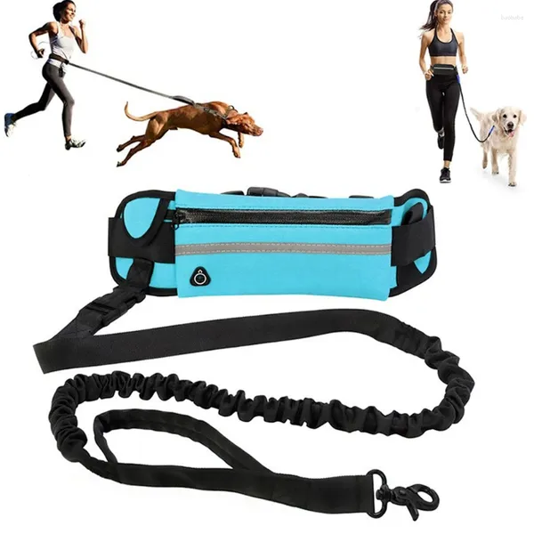 Colliers pour chiens laisse mains libres pour courir marche réfléchissant avec sac de taille ceinture élastique rétractable corde de Traction produits pour animaux de compagnie