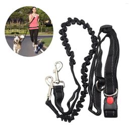 Colliers pour chiens, mains libres, ceinture de taille réglable, parfait pour le jogging, la randonnée, la laisse, harnais élastique