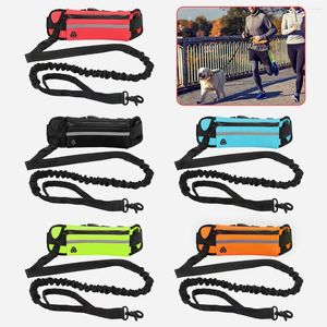 Colliers de chien Hands Free Running Leash Corde de traction rétractable avec une ceinture de taille de la ceinture élastique pour animaux de compagnie élastiques accessoires