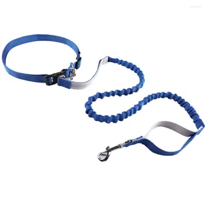 Halsbanden Handsfree hardlooplijn met verstelbare heupriem Dubbel handvat Elastisch bungees-touw voor honden Wandelen Wandelen Fietsen