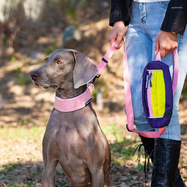 Collares para perros, paquete de cintura manos libres, accesorios de cuerda de tracción, correa para mascotas, nailon para exteriores, bolsa de almacenamiento retráctil portátil, suministros para cachorros