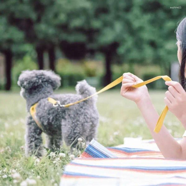 Colliers de chien harnais et laisse ensemble chiot réglable pour les petits chiens accessoires pour animaux de compagnie marche