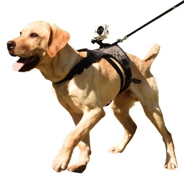 Collares para perros arnés correa para el pecho cinturón montaje banda elástica trasera para accesorios de cámara deportiva soporte