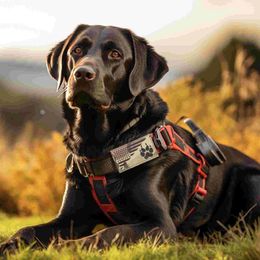 Colliers pour chiens, Patch de harnais, Costume pour animaux de compagnie, patchs décoratifs, sangle collante, gilet d'entraînement, débardeurs pour chiots