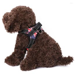 Colliers pour chiens Harnais Stepin Gilet Respirant Collier de poitrine Activité de marche