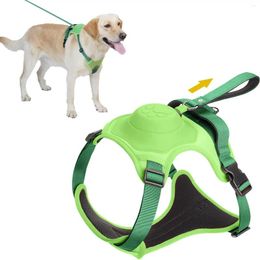 Harnais de colliers pour chiens avec une laisse rétractable intégrée
