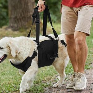 Faisceau de colliers pour chiens avec poignée Contrôle réglable ceinture auxiliaire sans obstacle pour animaux de compagnie pour les ajustements de marche