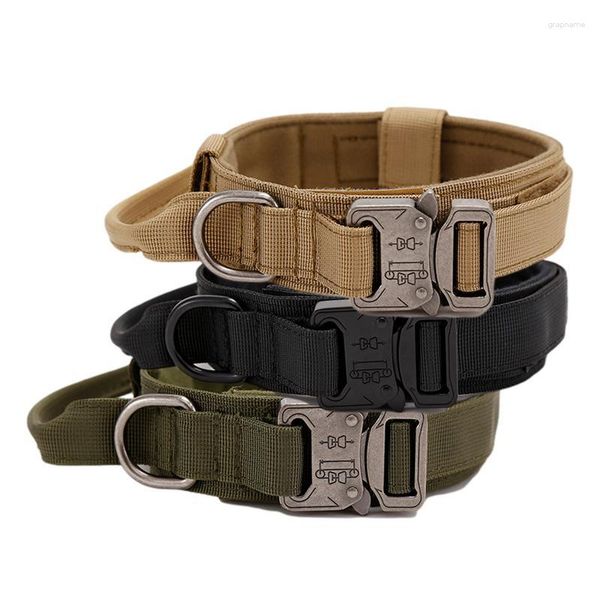 Colliers pour chiens Collier robuste Boucle en métal robuste Nylon réglable avec poignée Pour