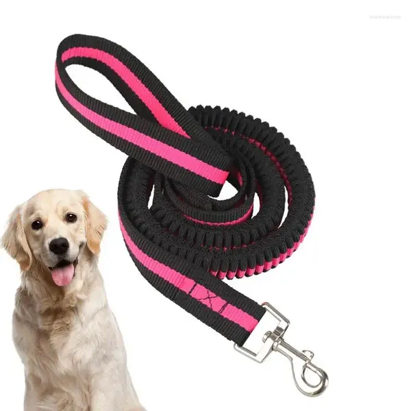 Collares para perros Cuerda de nailon duradera y resistente Mango acolchado cómodo Cinturón de seguridad de alta elasticidad para coche